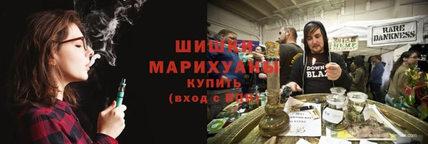 стафф Кодинск