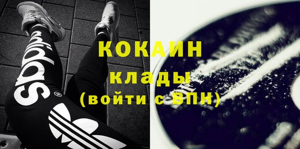 стафф Кодинск