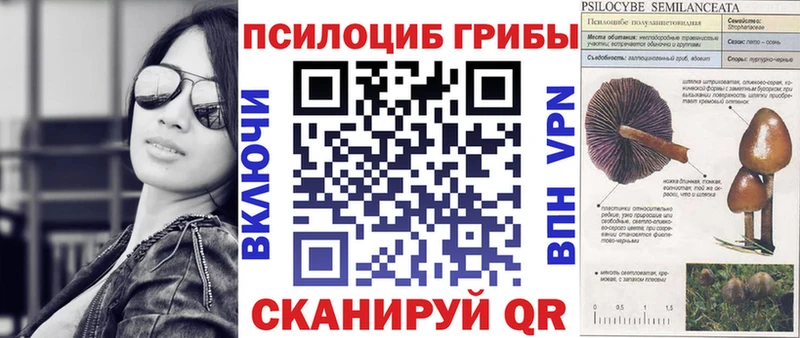 Псилоцибиновые грибы Cubensis  Купить закладки  Никольское 