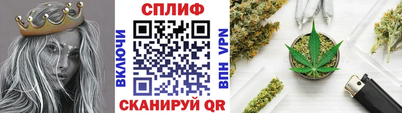 Бошки марихуана VHQ  Купить закладки  Никольское 